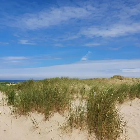 Callassande - Cs 63 *