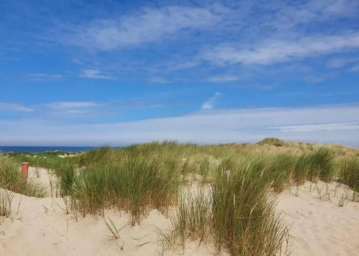 Callassande - Cs 63 *